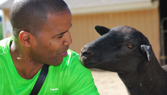 Aaron and Eddie the Sheep