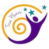 true planes logo